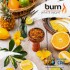 Заказать кальянный табак Burn White Night (Берн Белая Ночь) 100г онлайн с доставкой всей России фото - 2